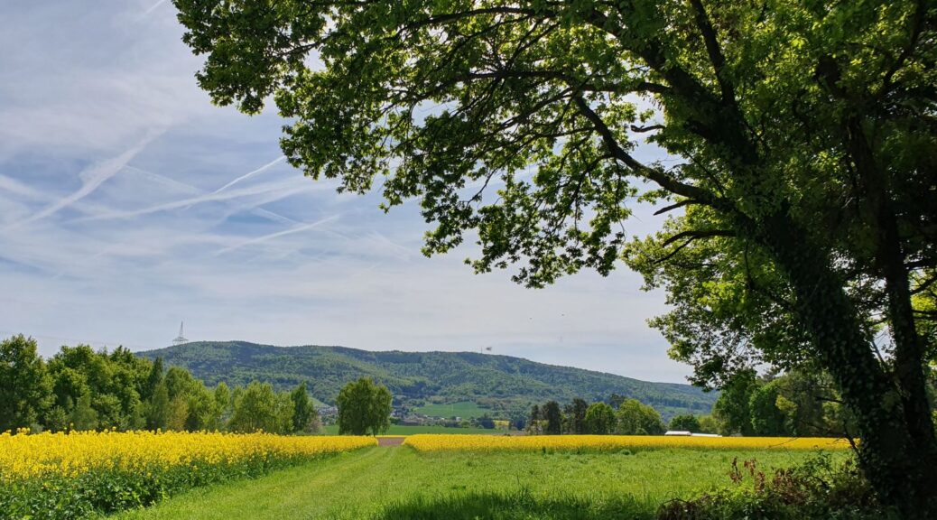 Tierheilpraxis Alzenau
