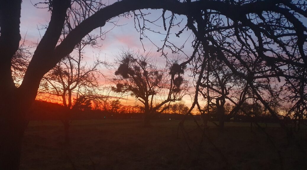 Winter Alzenau Tierheilpraxis Spessart