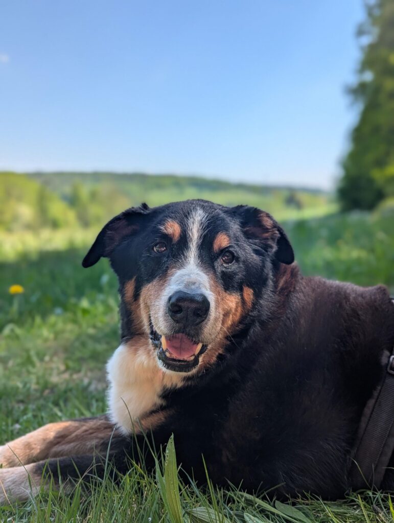 Pablo von Hauenstein Appenzeller